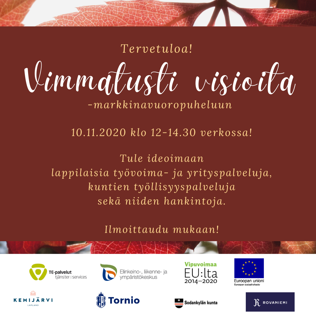 Tervetuloa Vimmatusti visioita -markkinavuoropuheluun! Tapahtumassa mukana ovat TE-palvelut, ELY-keskus, Vipuvoimaa EU:lta, Euroopan unioni, Rovaniemi, Sodankylä, Tornio ja Kemijärvi.